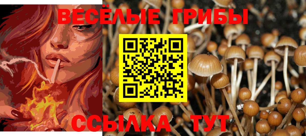 Галлюциногенные грибы мицелий Магнитогорск
