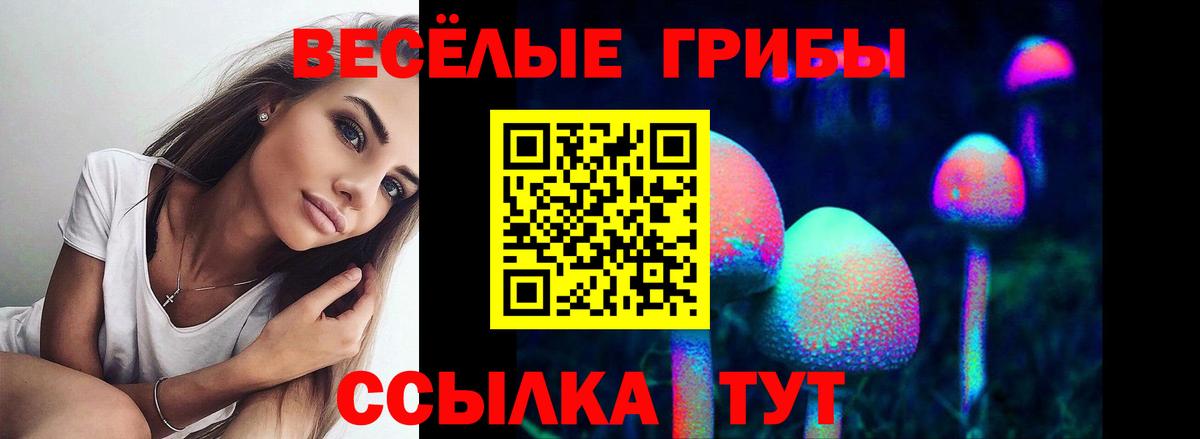 Магнитогорск  Галлюциногенные грибы мицелий  Вход с VPN 